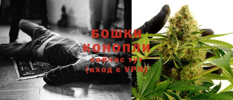 Каннабис SATIVA & INDICA  hydra tor  Кисловодск 